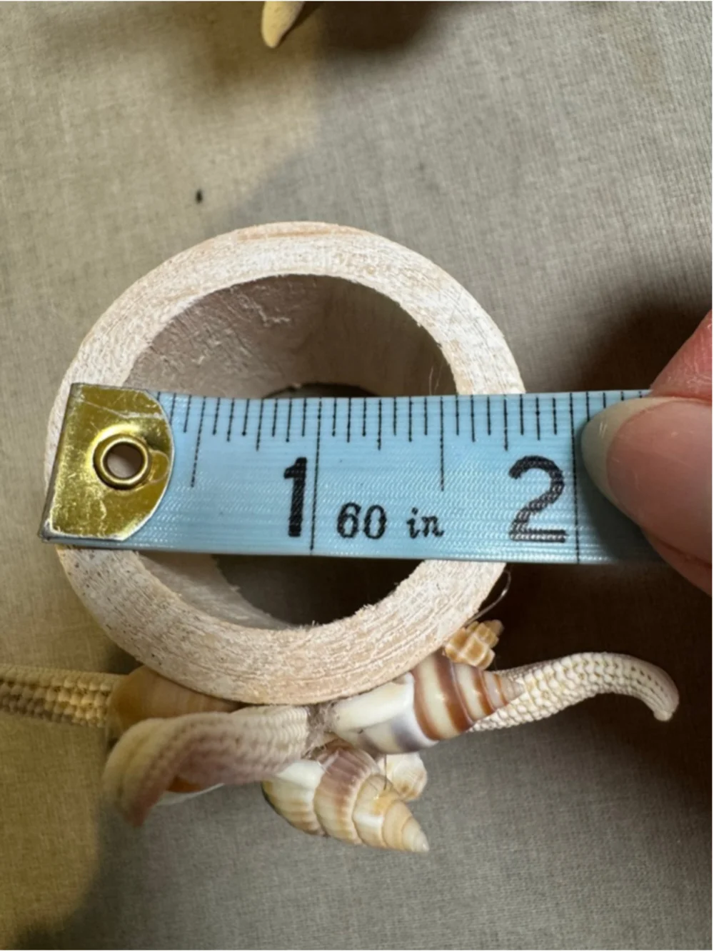 Unbranded Nautical Beach Seashell Starfish Napkin Rings Set of 3